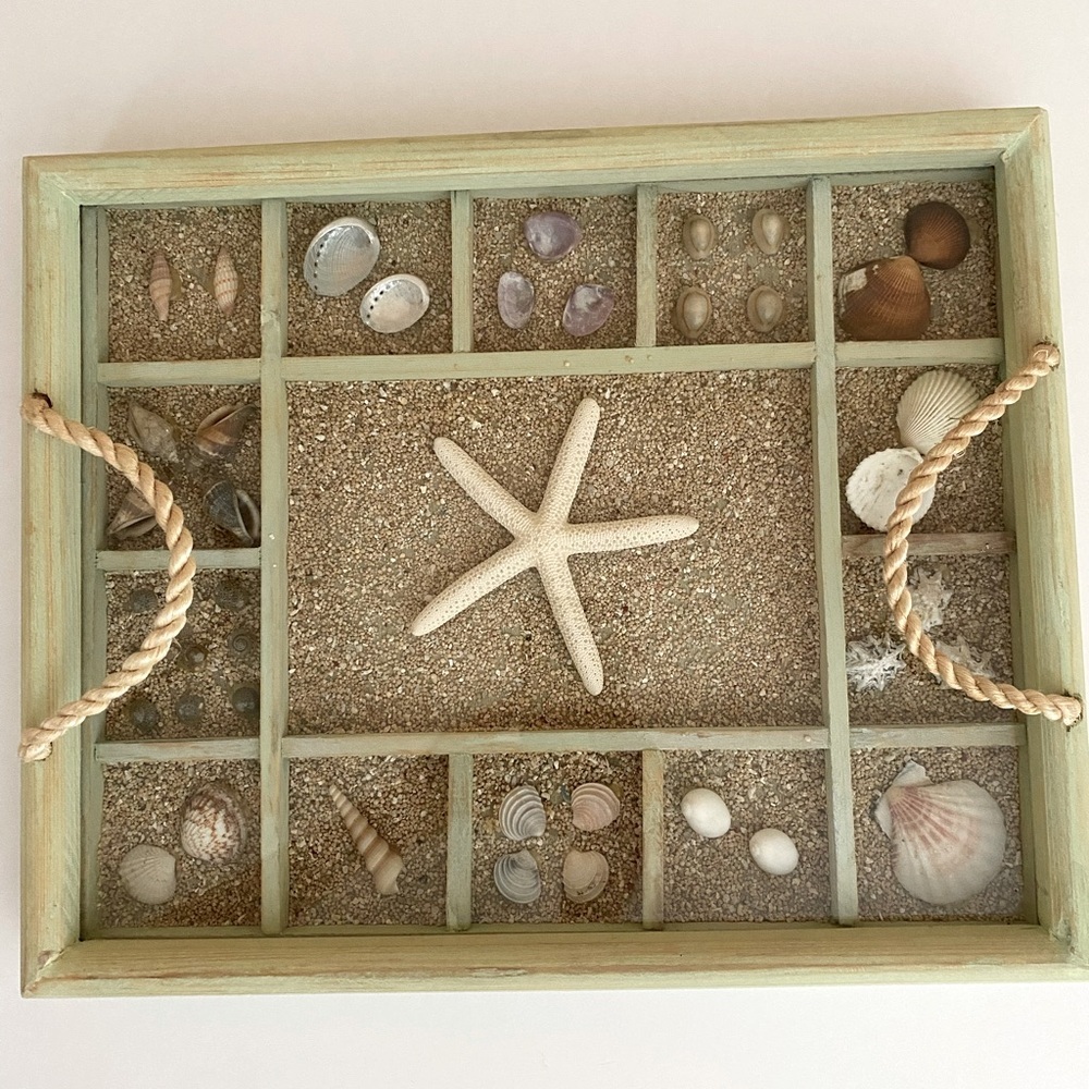 Shadowbox Tray Seashell Collection Mint Green Washed Wood Rope Handles - Picture 2 of 8